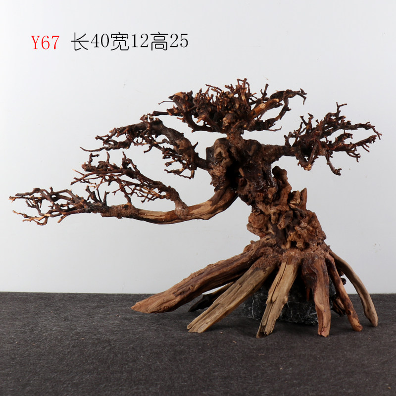 Y67