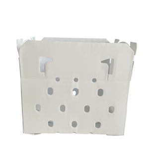 Factory Customized Light Weight Stackable Pp Hollow Picking <strong>Bins</strong> Recycled PP Hollow Sheet Box Pp Hollow Plate Box for <strong>Packing</strong> - Product Image 2
