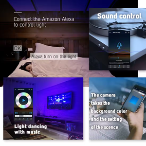 ESann Smart 2835 Alexa Google Phone Voice IOS Android APP rgb wifi 5050 rgb IR 24 tasti controller led - Product Image 4
