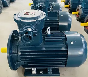 Asynchronous Electric Motor 30 kW 1500 <strong>Rpm</strong> 55mm Explosion-proof Motor
