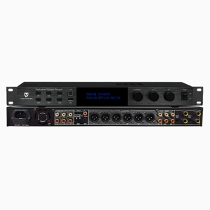 Kazanan AD-208PRO yankı Boost <span class=keywords><strong>DSP</strong></span> profesyonel Karaoke anti-howling Preamp etkisi