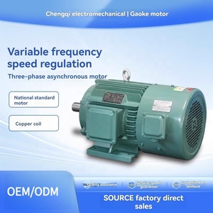 GKDQ YVF2变频电机380V三相IP55异步电机无级调速泵/输送机 - Product Image 3