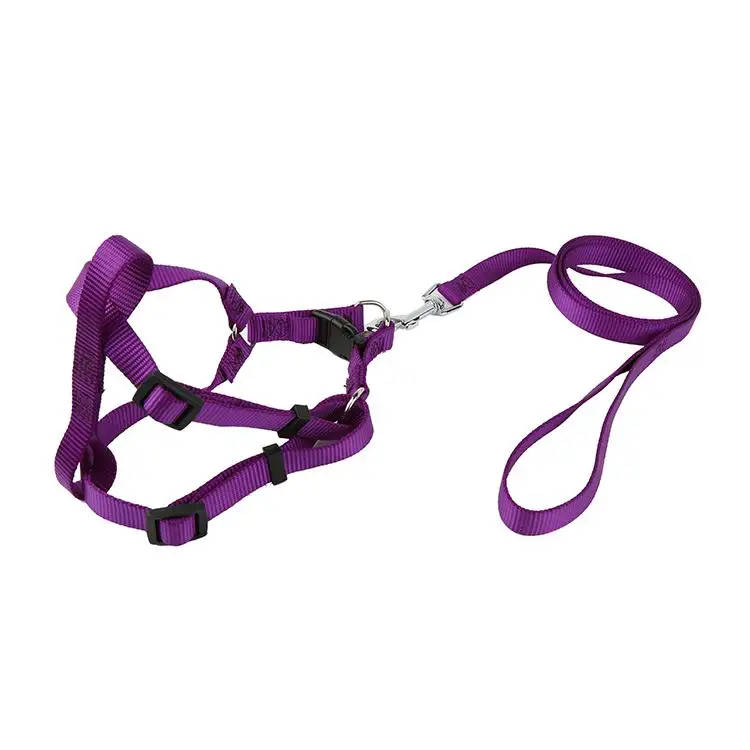 Hot Selling attractive style soft reflective dog harness leash set