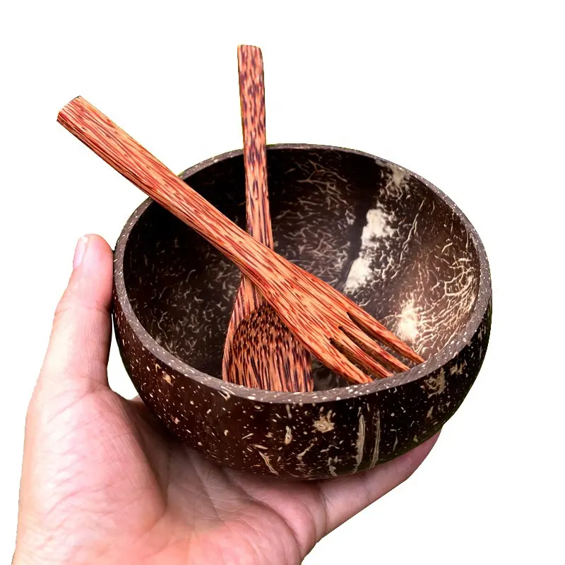 Regalo, vajilla del sudeste asiático, artesanía de pulido, madera de ala de pollo, cáscara de coco Natural, postre, yogur, fruta, ensaladera, juego de cuchara