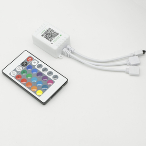 Luce LED telecomando 2 porte RGB scatola di controllo 24 tasti IR blu dente LED telecomando per RGB 5050 3528 luci di striscia LED