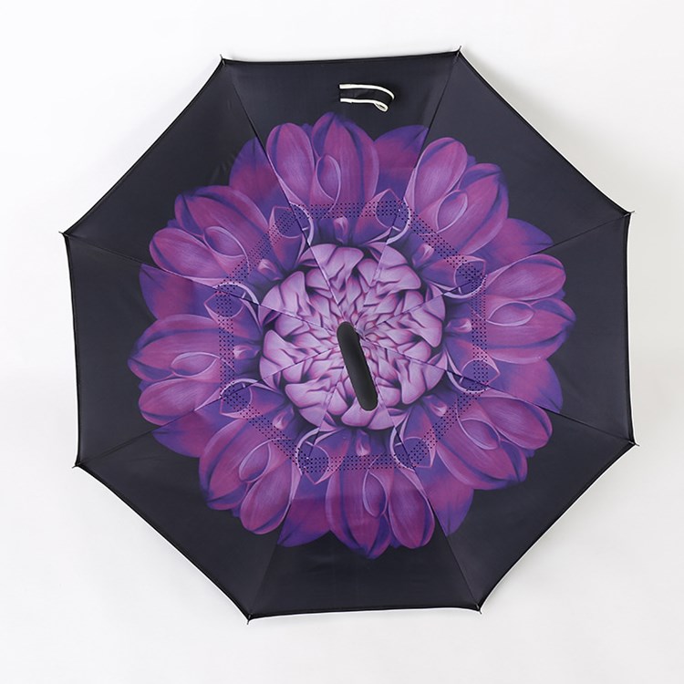 fleur violette