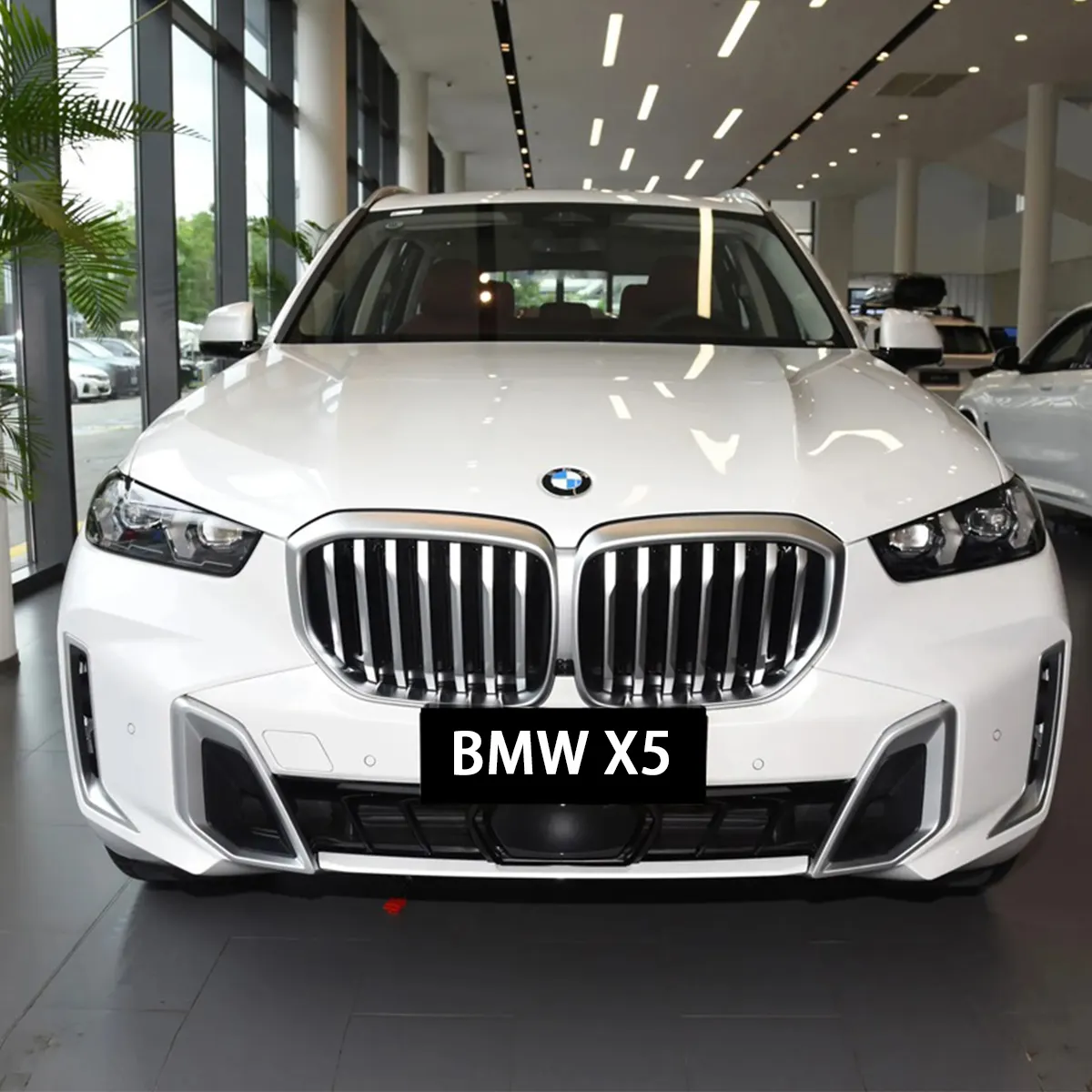 Yeni BMWX5 48V MHEV araç xDrive30Li xDrive40Li spor sürümü 3.0T 381hp L6 250km/saat BMW X5 hafif hibrid elektrikli araba
