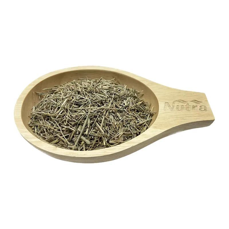 Fornitura di alta qualità di tè di equiseto campione gratuito di equiseto tè per la vendita