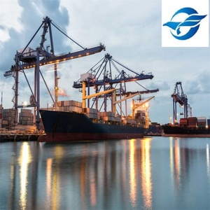 Profession eller Import und Export Spediteur und Containers chiff fahrt sagent & Tür-zu-Tür-Versand Logistik spediteur nach USA - Product Image 5
