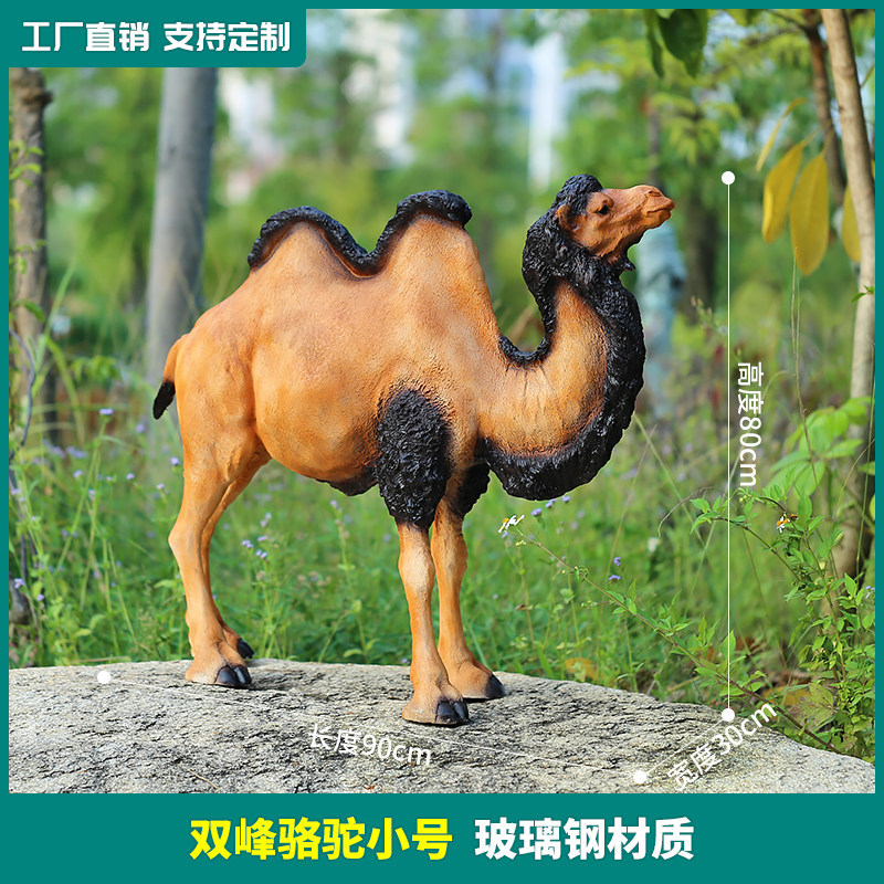 Small-sized camel-90 cm long
