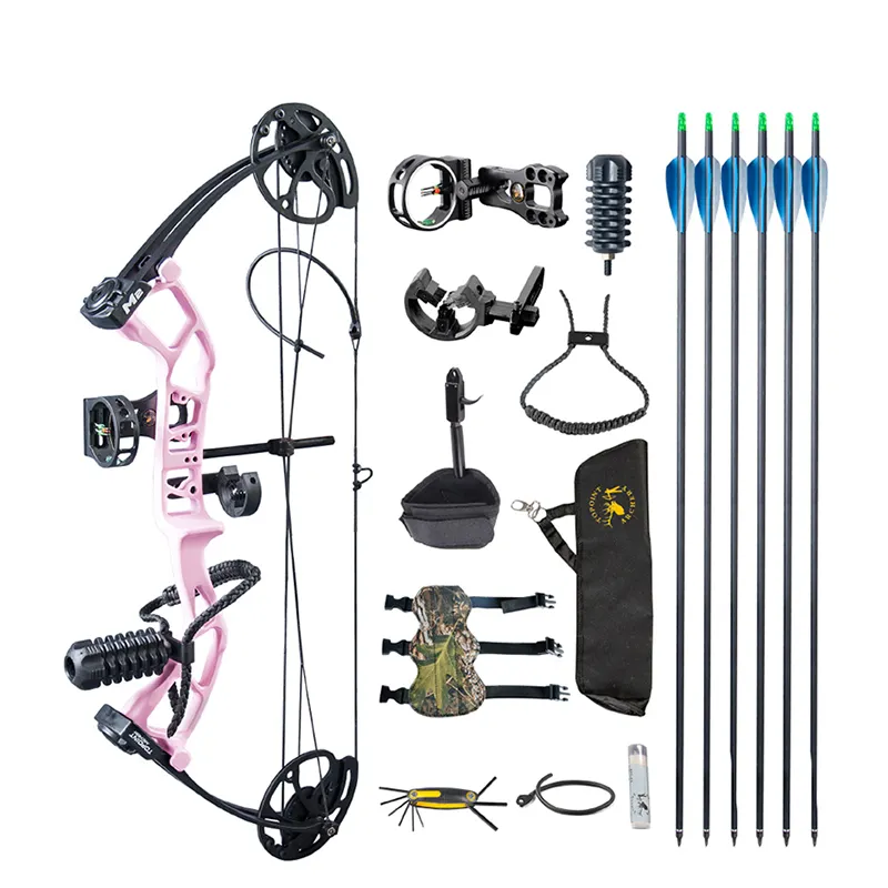 1 Set Archery 30-40lbs Adjustable Draw Weight Compound Bow With 6pc Carbon Arrow Professional Complete Accessories for Hunting
