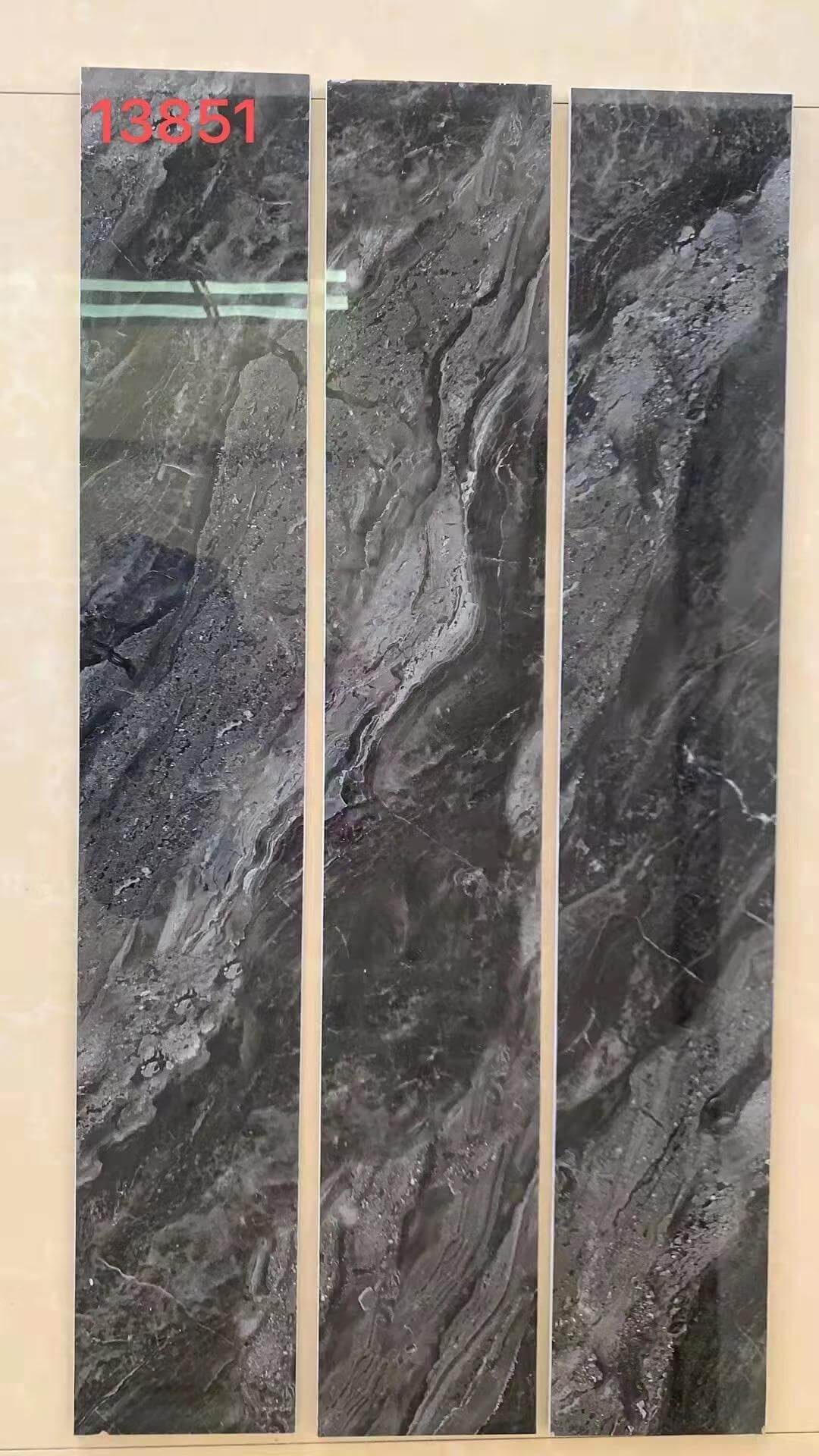 13851