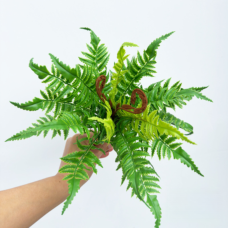 Herbe verte-Fengwei