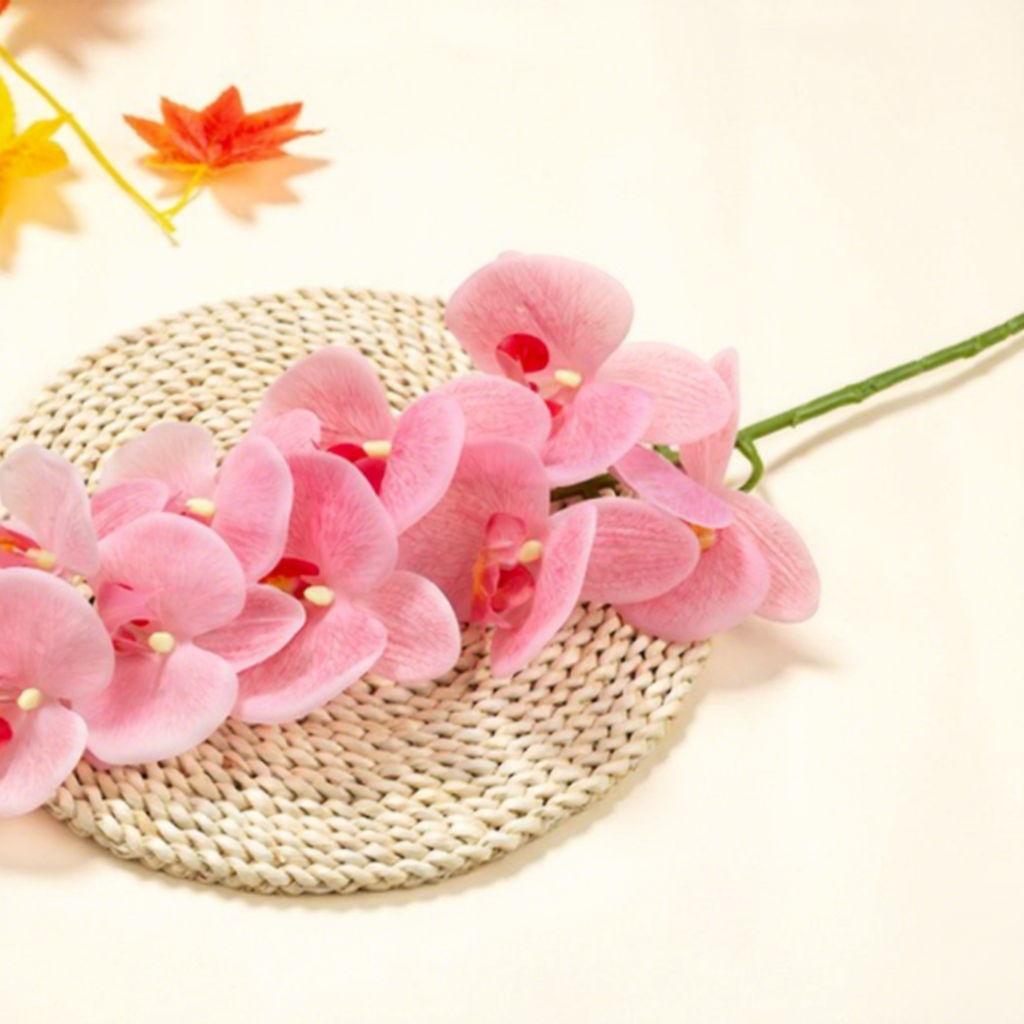 กล้วยไม้ฟาแลนนอปซิส 9 หัว - ชมพู-เขียวผล