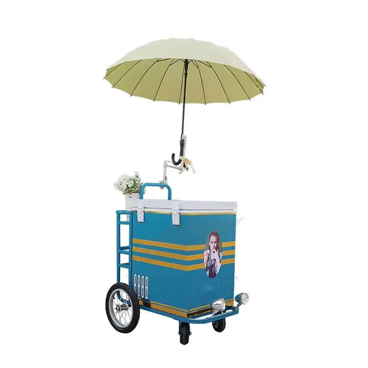 Mini tricycle électrique d'occasion, livraison de glaces, chariots de vélo, vente de nourriture de rue, vélo avec congélateur