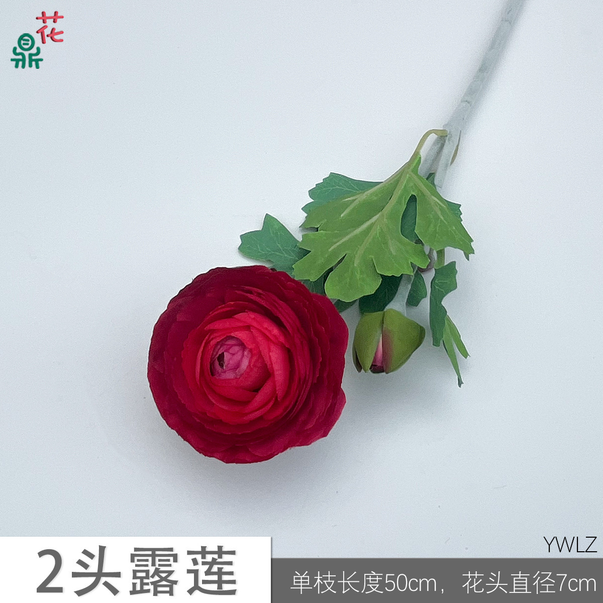 Lotus de rosée à 2 têtes YWLZ, rouge vif