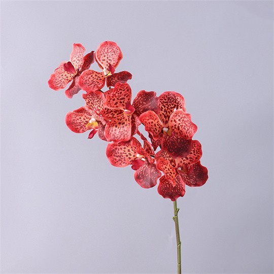 Orange Red