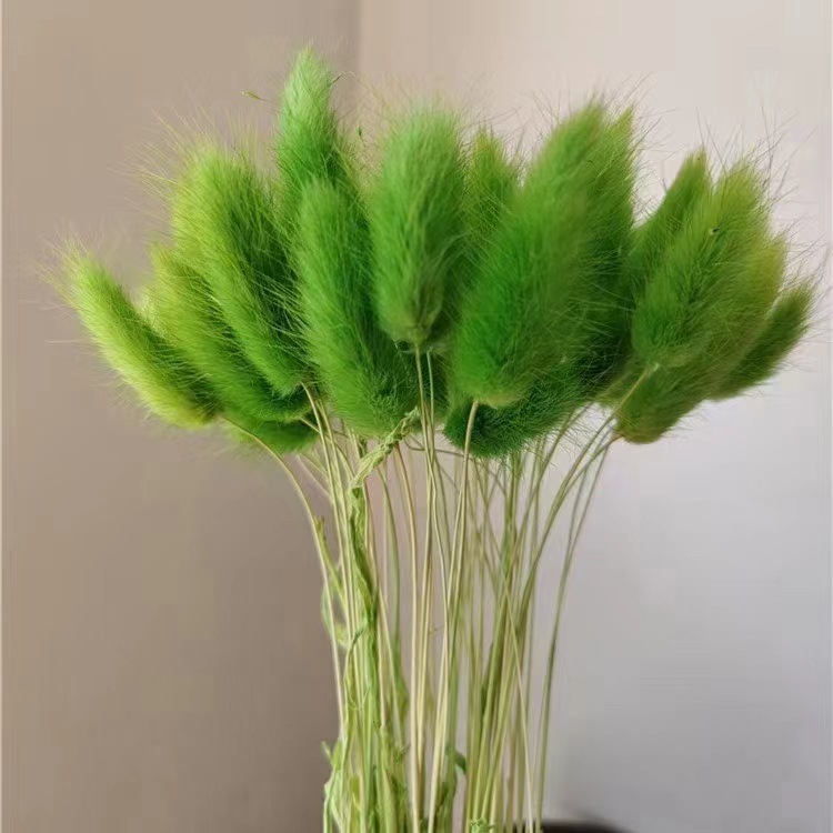 Vert (env.30 pièces)