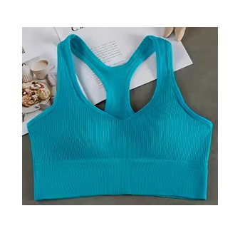 Soutien-gorge bleu