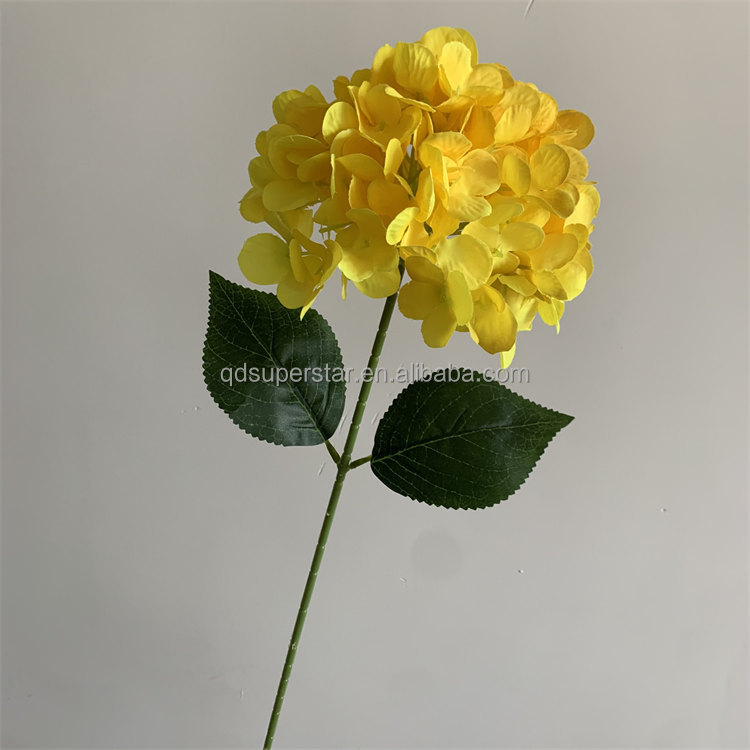 Giallo
