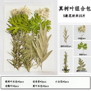 Tự Làm Nhựa Thủ Công Kit Với Khô Ép Hoa Lá Cho Nến Làm Cho Tự Nhiên Thủ Công Mỹ Nghệ Giáng Sinh Trang Trí Nguồn Cung Cấp Nghệ Thuật - Product Image 4