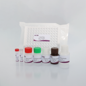 At enfeksiyöz anemi cELISA kiti (96T * 5) | OIE standart | EIA Antibody algılama | Veteriner laboratuarları için toplu tedarikçi - Product Image 5