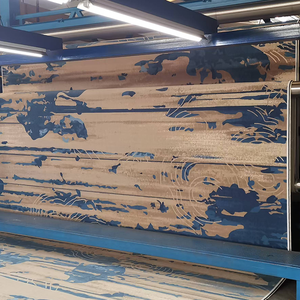 Chất lượng cao sang trọng axminster Thảm khách sạn Runner thảm cho khách sạn Thảm sàn thảm thủ công tường-to-tường thảm - Product Image 3