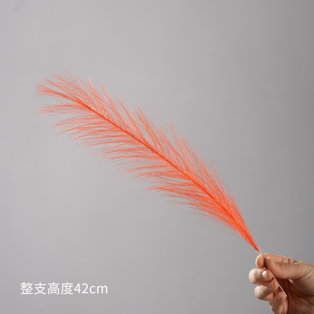 สีส้มแดง