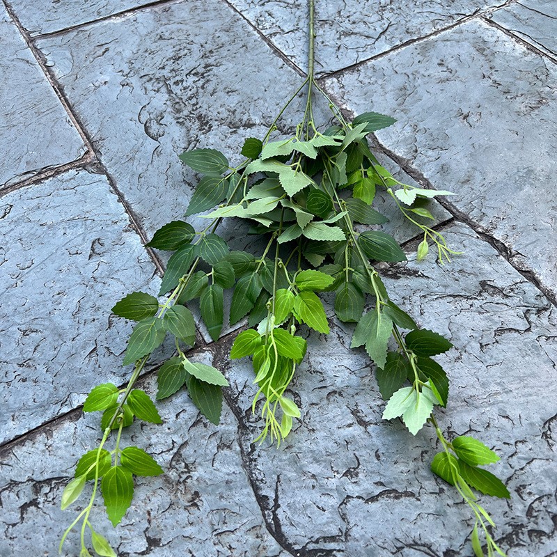 5 fourchettes saules flottants vert