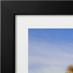 Black Wooden 16 <strong>X</strong> <strong>20</strong> Picture <strong>Frame</strong> with Tempered Glass for Photo Horizontal Vertical Display - Product Image 3