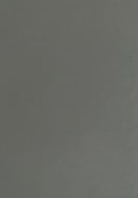 127 Gris Foncé