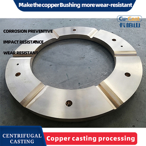 CuSn7Zn7Pb3 Worm Gear Copper Rubber Wheel Component Seals for Centrifugal <strong>Process</strong> - Product Image 5