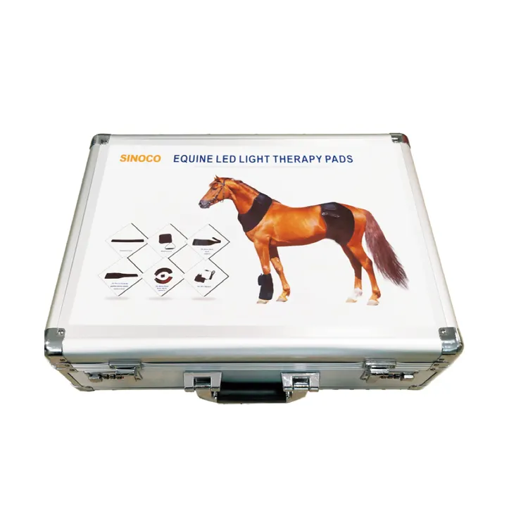 Großhandel pferd batterie Kaufen Sie die besten pferd batterie Stücke aus  China pferd batterie Grossisten Online | Alibaba.com