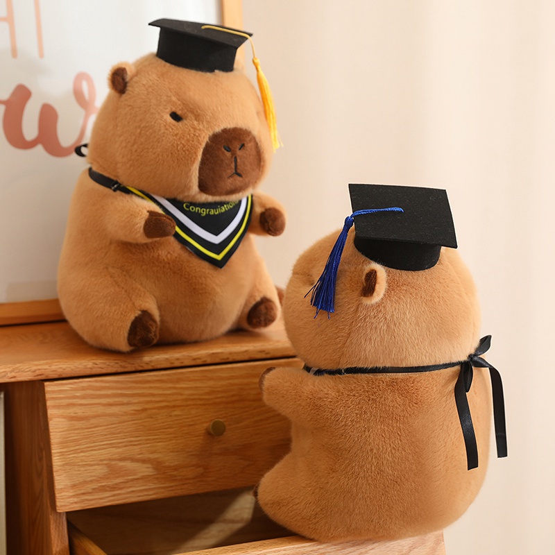 Doctor Hat capybara Guinea Pig Graduation Commemorative <strong>Gift</strong> School <strong>gifts</strong> for girl for boy - Product Image 6