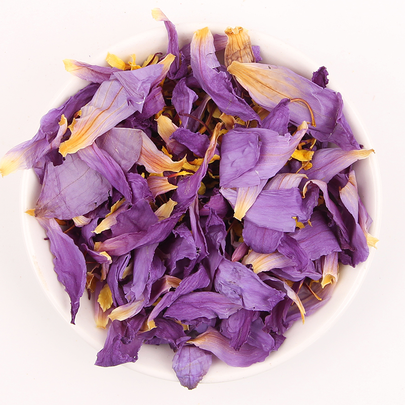 Viola