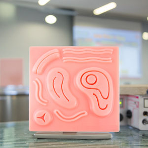 Maniquí de simulación laparoscópica de silicona 3D de una pieza, equipo de entrenamiento quirúrgico con módulos de sutura para ciencia médica - Product Image 6