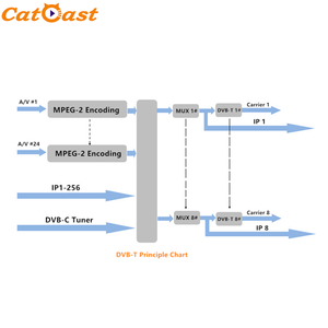 24 in 1 CATV Multi <strong>Channels</strong> Cvbs to Ip SD Rf Analog Video Encoder Modulator for Hotel TV System - Product Image 3