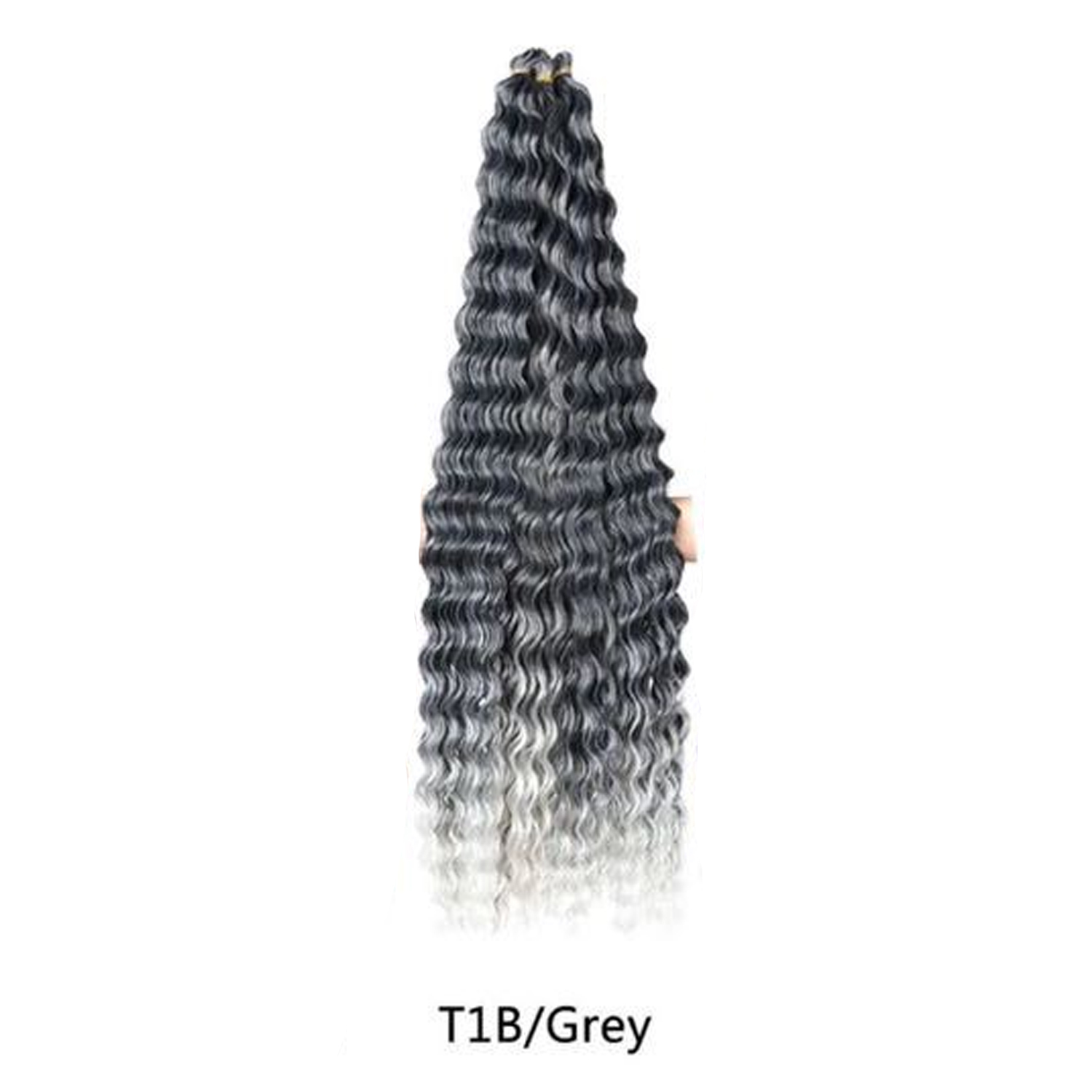 T1B-Gris