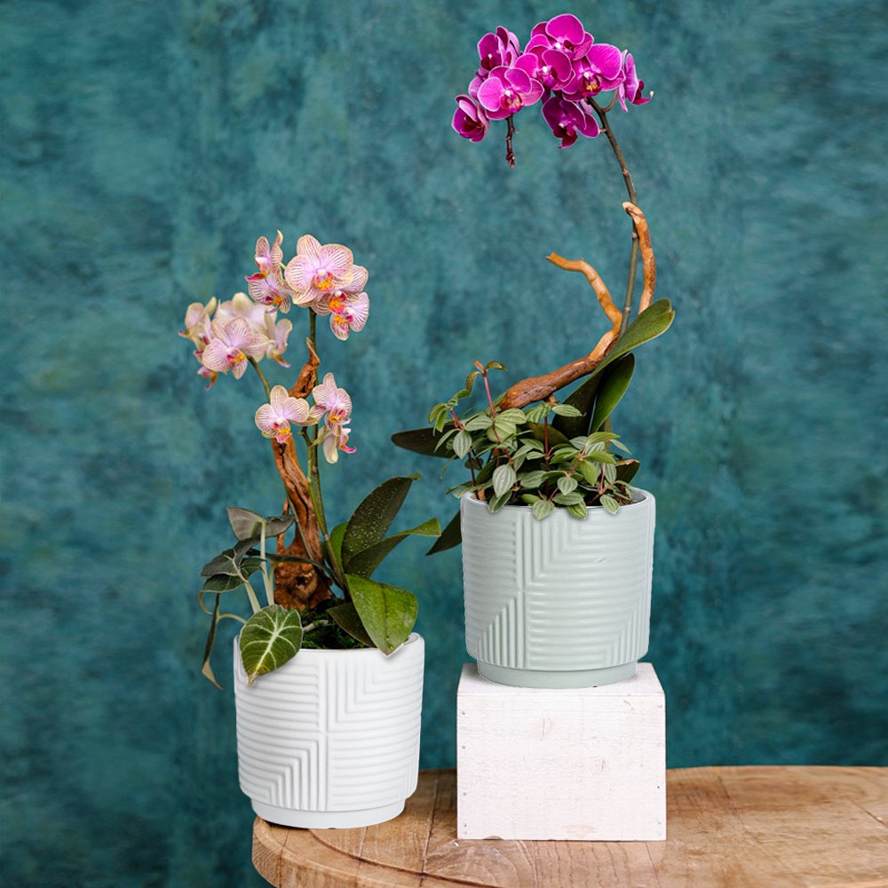 Wholesale Garden Indoor striped Flower Pots Decor White Modern Small Ceramic Plant Pots