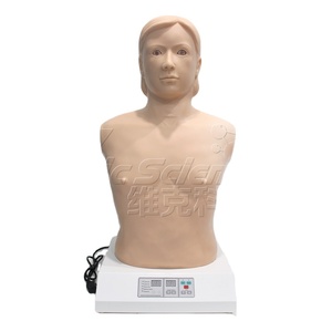 Automatic Cardiopulmonary <strong>Palpation</strong> and Auscultation Computer Simulator (stand-alone Version) Anatomy Model - Product Image 1