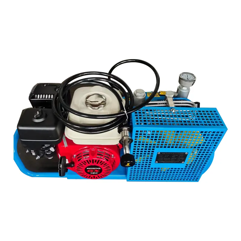 100 л/мин Пейнтбол/дыхание/огонь высокого давления воздушный компрессор RKH-100P для продажи