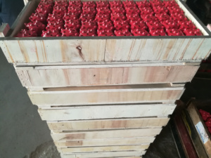 Mũi Khoan Búa DTH Giá Rẻ Chất Lượng Cao Mũi Khoan Khai Thác Mỏ Mũi Khoan Đá Có Ren - Product Image 5