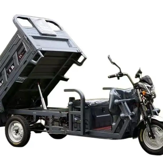 Veículo de carga elétrico resistente 1000 W/1200 W/1500 W triciclo de carga de caminhão de carga de três rodas de alta velocidade