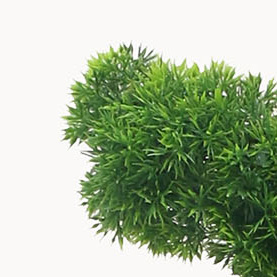 vert