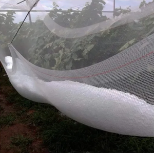 Сельскохозяйственный HDPE защита от града, устойчивый к растяжению для тепличных овощей и фруктовых деревьев - Product Image 6