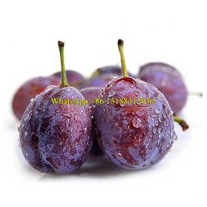 Selezionatrice del grado della palma della data 600kg/selezionatrice rotonda della frutta/prezzo della macchina di classificazione del pomodoro della ciliegia - Product Image 6