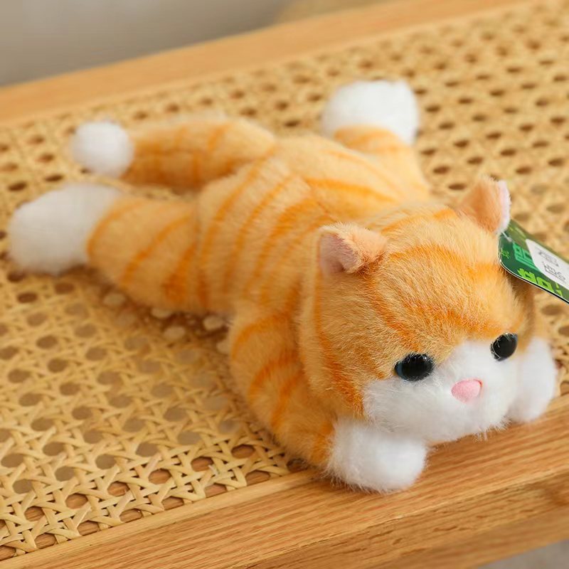Chat jaune