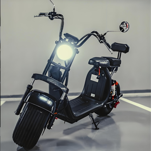 טעינה מהירה ruhs קוד 1900w קורקינט חשמלי עם מושב
