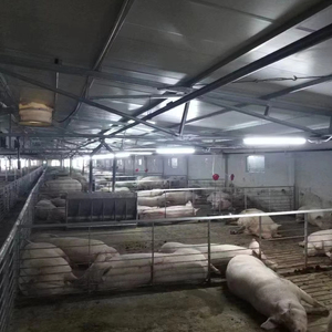 3 * 4m美欧型猪育肥笼带喂料线和饮水线定制尺寸铁或钢管可供选择 - Product Image 1