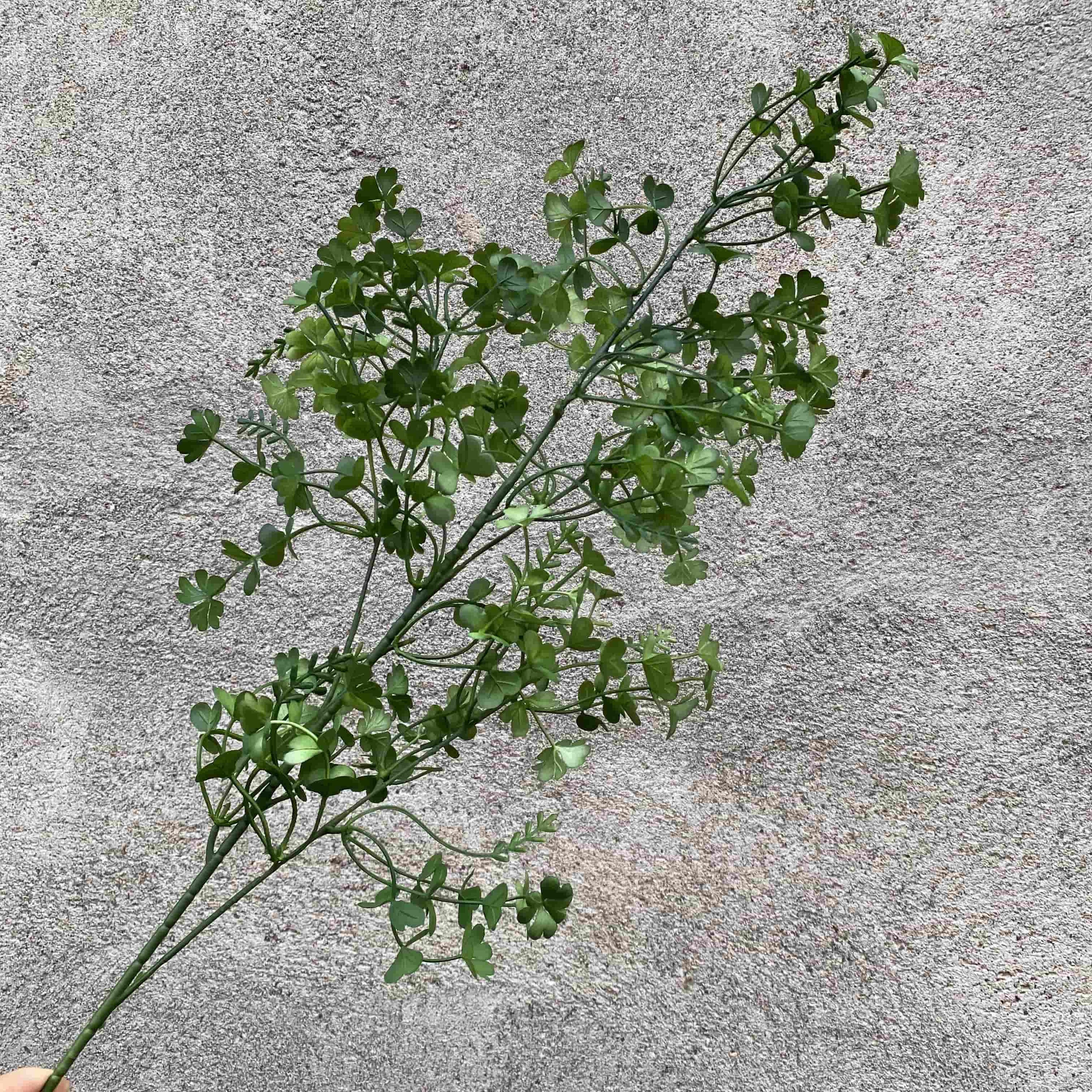 Green leaf-T8